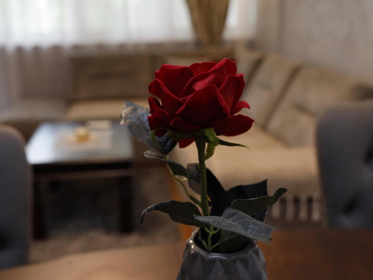 Apartment Mona Podgorica Zewnętrze zdjęcie